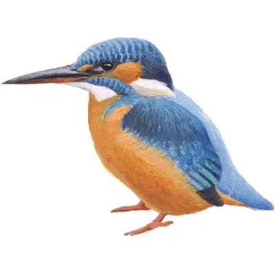 Art Bracelet, BLOCBIRDS IJSVOGEL