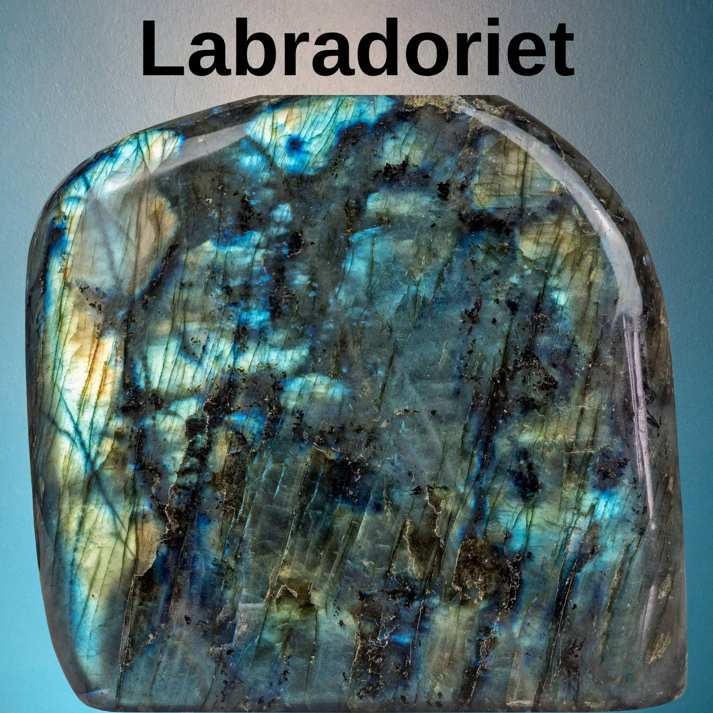 Hanger Labradoriet met parel zilver